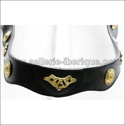 Qu'est-ce que cette chose ?