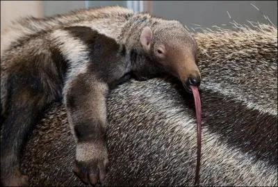 Regardez attentivement cette photo et trouvez la phrase correspondante !