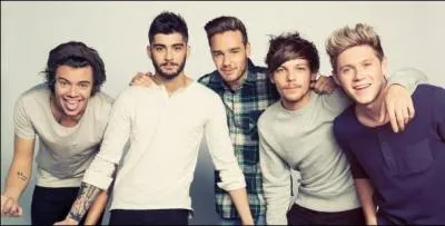 Qui a eu l'id�e du nom du groupe One Direction ?