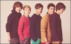 De quelle(s) nationalit(s) sont les membres du groupe ? 