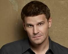 Quiz David boreanaz