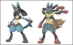 Qui vous donne Lucario ?