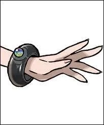 Avec quoi le Mga-Gemme fonctionne-t-il ?