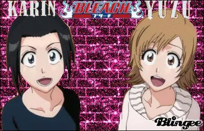 Qui sont les soeurs d'Ichigo ?