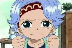 Qui est-ce ? (One Piece)
