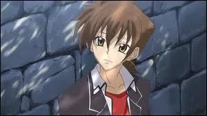 Qui est-ce ? (Highschool Dxd)