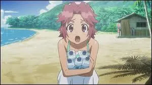 Qui est-ce ? (Highschool of the Dead)