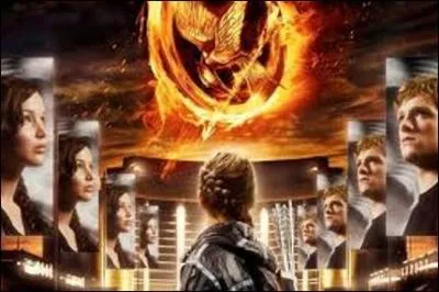 Que sont les  Hunger Games  ?