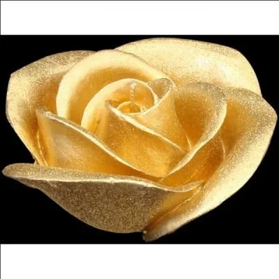 De quelle couleur est la cinquime rose ?