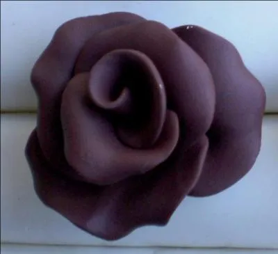 De quelle couleur est cette dernire rose ?