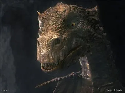 Comment s'appelle le dragon auquel Merlin fait souvent appel ?