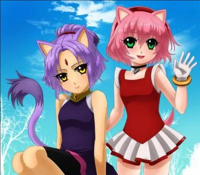 Qui sont ces personnages en humains ?