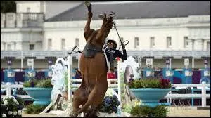 Mon cheval se cabre ...