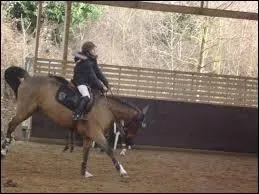 Mon cheval m'embarque et part en coups de cul ...