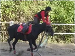 Mon cheval drobe l'obstacle ...