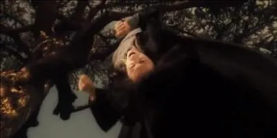 Lors d'un de ces cours, alors qu'il est seul, Harry Potter tombe dans la Pensine et accde  un souvenir de Severus Rogue. Que dcrit ce souvenir douloureux pour Severus Rogue ?