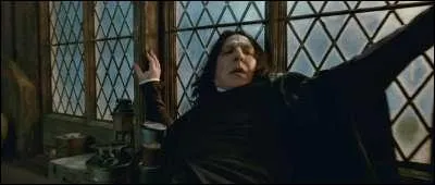 Dans  Harry Potter et les reliques de la mort  (Partie II), Severus Rogue est excut par Nagini, le serpent de Lord Voldemort, dans le hangar  bateaux et non dans la Cabane Hurlante comme dans le livre. Pourquoi Lord Voldemort prend-il cette dcision ?