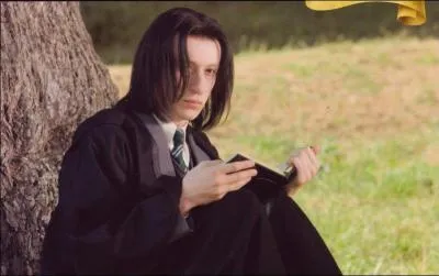 Durant sa scolarit, Severus Rogue tait souvent la cible de moqueries de la part de certains lves que l'on appelait les Maraudeurs. Quels lves aimaient bien le titiller ?