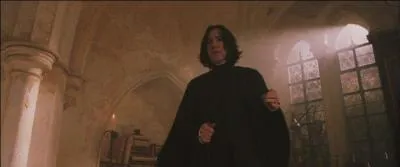 En 1991, Harry Potter fait son entre  Poudlard. Il se confronte rapidement  Severus Rogue. Quel poste occupe-t-il alors  Poudlard dans  Harry Potter  l'cole des sorciers  ?