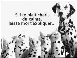 Quelle est cette race de chien ?