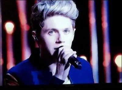 Avec qui Niall aimerait-il se marier ?