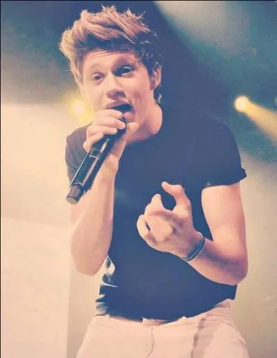 Quel est le nom de famille de Niall ?