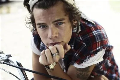 Quel est le nom entier de Harry ?