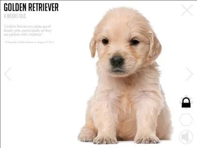 Quels sont les animaux prfrs de Violetta ?