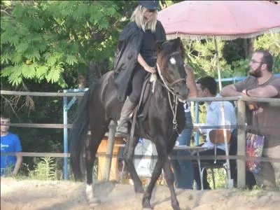 De quelle race est cette petite jument ?