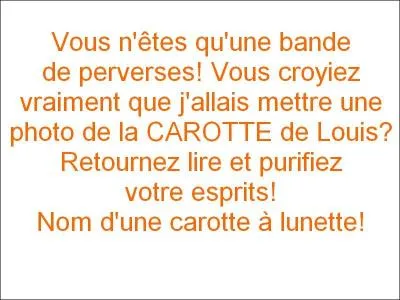 Louis aime les filles qui aiment quoi ?