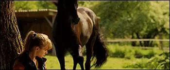 Quelles plantes sont toxiques pour le cheval ?