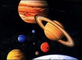 Comment s'appelle notre plante ?