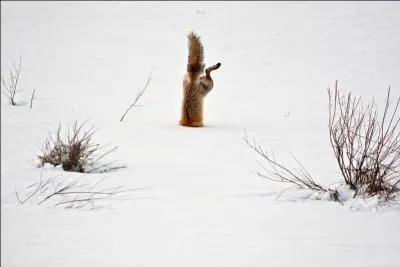 Trouvez la bonne expression !