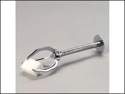 Veuillez traduire. Une pince  sucre :