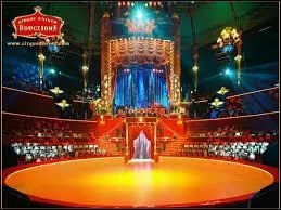 Les spectacles de cirque ont lieu :