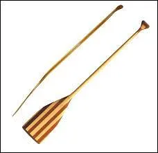 Dans quel sport utilise-t-on une pagaie ?