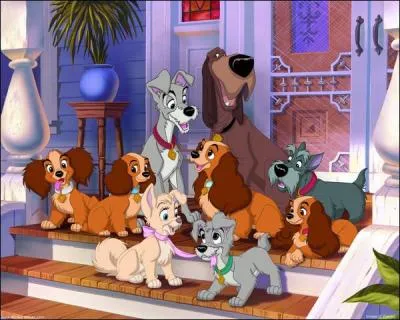 Quel est ce dessin anim ?