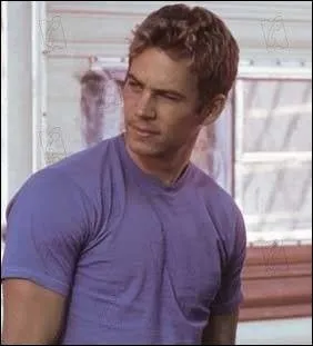 De quel film cette image de Paul Walker est-elle tirée ?