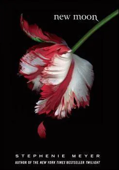 Dans un des rves de Bella, qui n'apparat pas dans le miroir ?