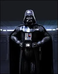 Combien de membres a-t-il perdus (artificiels ou pas ) ?