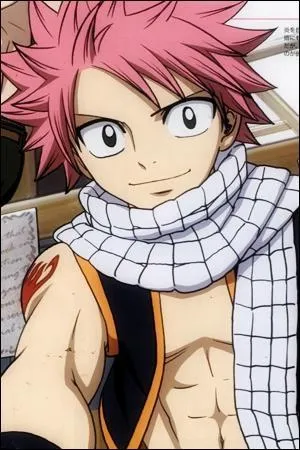 Quel est le surnom de Natsu ?