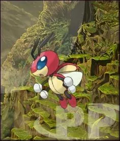 Coxyclaque tire sa force de la lumire des toiles.