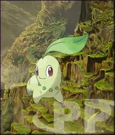 Germignon se dit Chicorita en japonais.