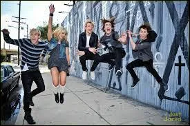 Comment s'appelle leur dernire tourne ?