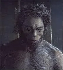 Et ce centaure lui aussi professeur de divination ?