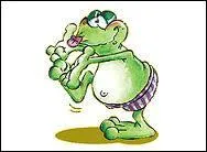 Comment s'appelle cette tortue de Diddl ?