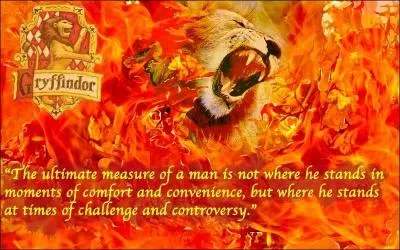 D'une manire gnrale, quelles sont les caractristiques requises chez un sorcier faisant partie de cette maison de Poudlard ?