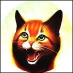 Quels sont tous les noms des clans ?