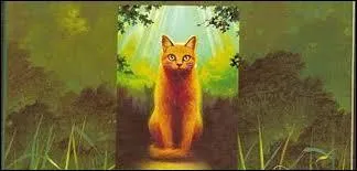 Combien y a-t-il de livres dans chaque cycle ?