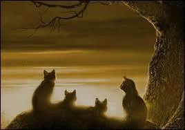 Dans quel ordre ces gurisseurs ont-ils exerc leur fonction ?